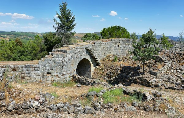 Come posso gestire un cane di razza Boxer che soffre di ansia da tuono e fuochi d'artificio?