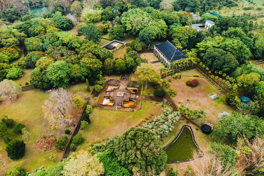 Come progettare un orto biologico su un tetto terrazzato in città?