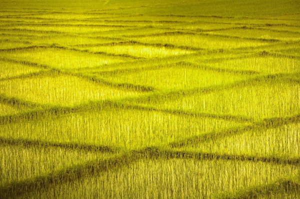 Come può l'elaborazione in tempo reale dei dati IoT migliorare la manutenzione predittiva delle apparecchiature industriali?